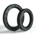 Custom Tc/Sc/Tg NBR FKM FPM Rubber Oil Seal